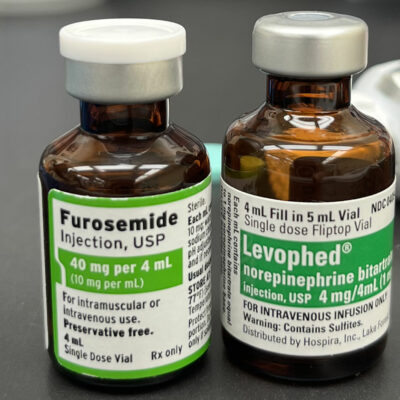 Furosemide Injection, Levophed Norepinephrine Bitartrate