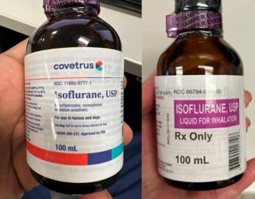 Figure 2. Organizations received bottles labeled Isoflurane, USP 100 mL “for animal use only” (NDC 11695-6777-1) by Covetrus (left) rather than the intended human product, Isoflurane, USP 100 mL (NDC 66794-017-10) by Piramal Critical Care (right).