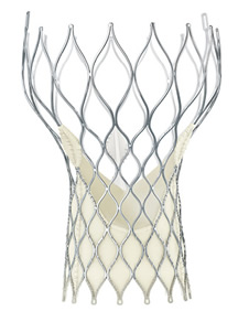 The Medtronic CoreValve® Evolut R Transcatheter Valve