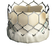 SAPIEN 3 Transcatheter valve