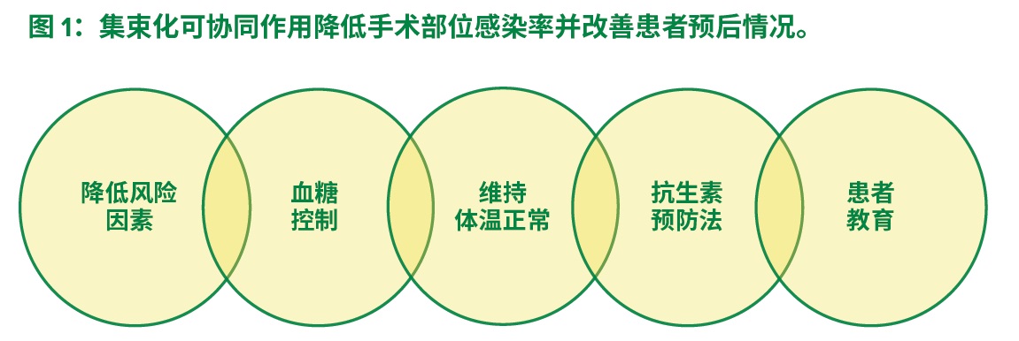 剖宫产后手术部位感染预防 麻醉专业人员的职责所在 Anesthesia Patient Safety Foundation