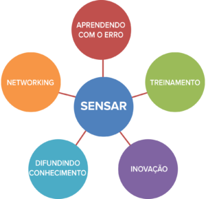 Figura 1: Estratégia multimodal do SENSAR desenvolvida em 2013 (5 anos após a fundação).