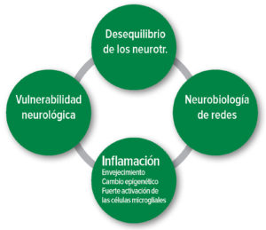 Figura 1: Hipótesis fisiopatológicas del delirio postoperatorio. Neurotr.: Neurotransmisor.