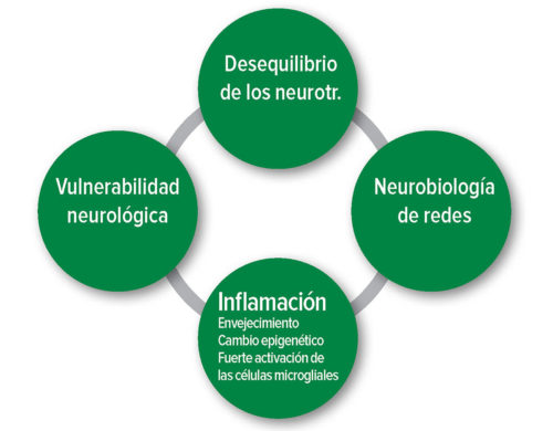 Figura 1: Hipótesis fisiopatológicas del delirio postoperatorio. Neurotr.: Neurotransmisor.