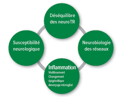 Figure 1 : Hypothèses pathophysiologiques du delirium postopératoire. Déséquilibre Neurotransmetteurs.