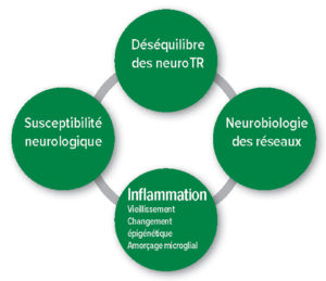 Figure 1 : Hypothèses pathophysiologiques du delirium postopératoire. Déséquilibre Neurotransmetteurs.