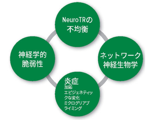 図 1：術後せん妄の病態生理学的仮説。NeuroTR：神経伝達物質。