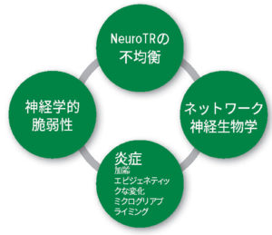 図 1：術後せん妄の病態生理学的仮説。NeuroTR：神経伝達物質。