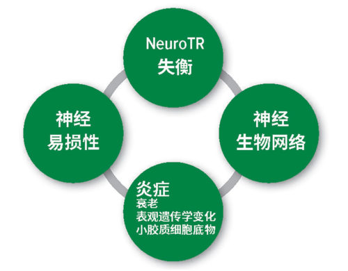 图 1：术后谵妄的病理生理学假设。NeuroTR神经递质：