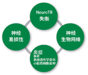 图 1：术后谵妄的病理生理学假设。NeuroTR神经递质：