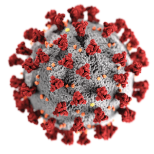 新型冠状病毒 (COVID-19)