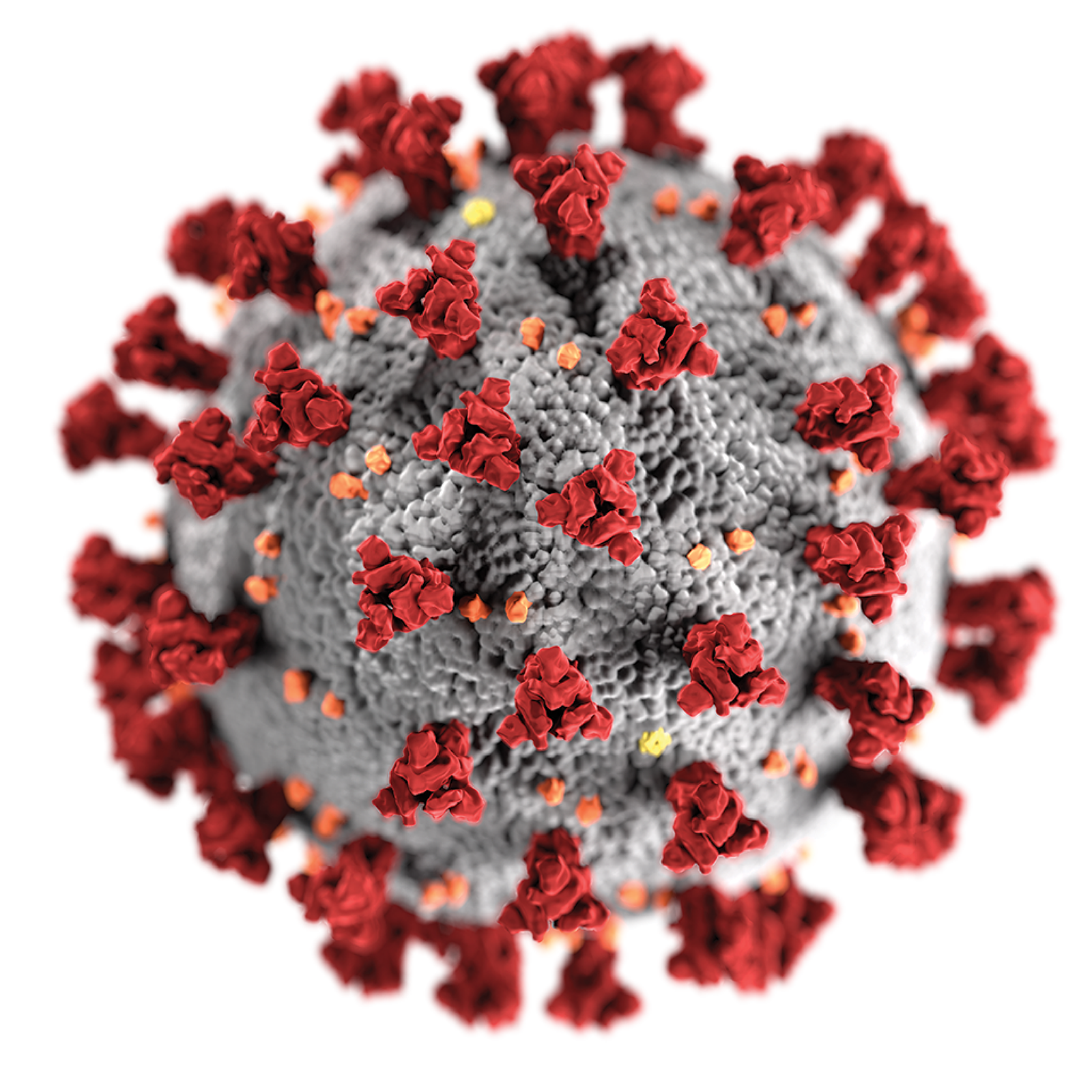 重症急性呼吸器症候群コロナウイルス-2（SARS-CoV-2）によるCOVID-19に関する周術期の考慮事項アップデート - Anesthesia Patient Safety Foundation