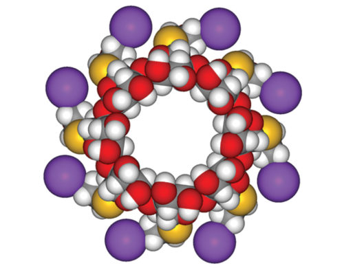 Sugammadex Sodium 3D