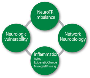 Figure 1: Pathophysiological hypotheses of PostOperative Delirium. NeuroTR: Neurotransmitter.