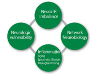 Pathophysiological hypotheses of PostOperative Delirium. NeuroTR: Neurotransmitter.