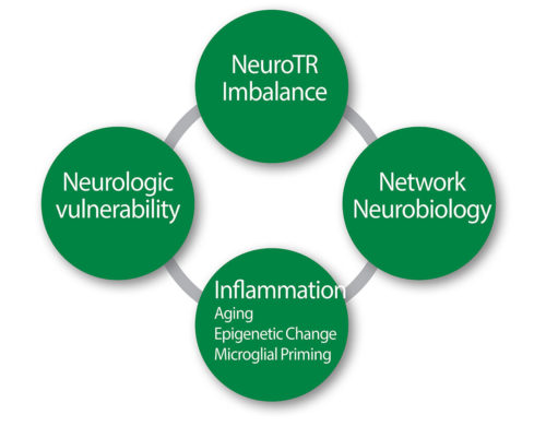 Pathophysiological hypotheses of PostOperative Delirium. NeuroTR: Neurotransmitter.