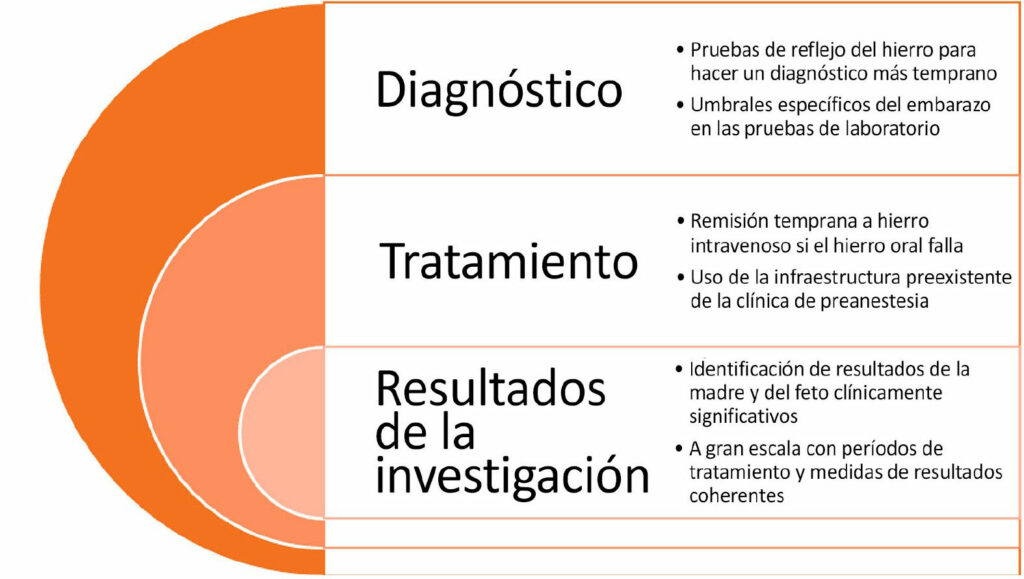 Figura 1: Oportunidades de mejora en el diagnóstico, tratamiento y estudio de la anemia por deficiencia de hierro en la madre.