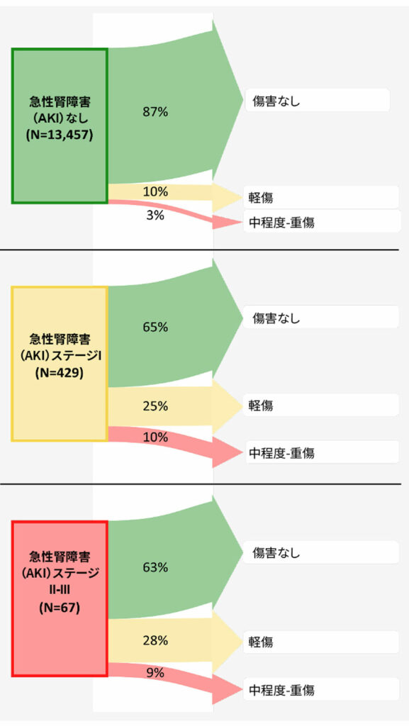 図６：手術の1～2年後の術後急性腎障害ステージ別腎臓転帰。矢印の幅は、各暴露群で各ステージの長期腎障害を発症した患者の割合を表す。<sup>37</sup>　 術後腎障害ステージI患者（クレアチニン増加が≧0.3mg/dLまたはベースライン値の1.5～1.9倍）の4分の1は1～2年後も軽度障害を有し、10％はステージがさらに高かった。したがって、腎障害ステージI患者の3分の1は、手術の1～2年後も腎障害を有していたことになる。その結果、術後腎障害ステージIの患者は、術後腎障害のない患者と比較して、長期腎障害のオッズ比（95%CI）が2.3（1.8、2.9）であった。したがって、非心臓手術後の成人では、ステージIの腎障害に相当する血漿クレアチニンの軽度の術後増加でさえ、手術後1〜2年の腎転帰の悪化と関連するため、臨床的に重要な周術期転帰と見なされるべきであると結論付ける。<br /><br />許可を得て改変転載。Turan A, Cohen B, Adegboye J, Makarova N, Liu L, Mascha EJ, Qiu Y, Irefin S, Wakefield BJ, Ruetzler K, Sessler DI. 非心臓手術後の軽度の急性腎障害は、長期の腎機能障害と関連している：後ろ向きコホート研究。<em>Anesthesiology</em>. 2020;132:1053–1061.