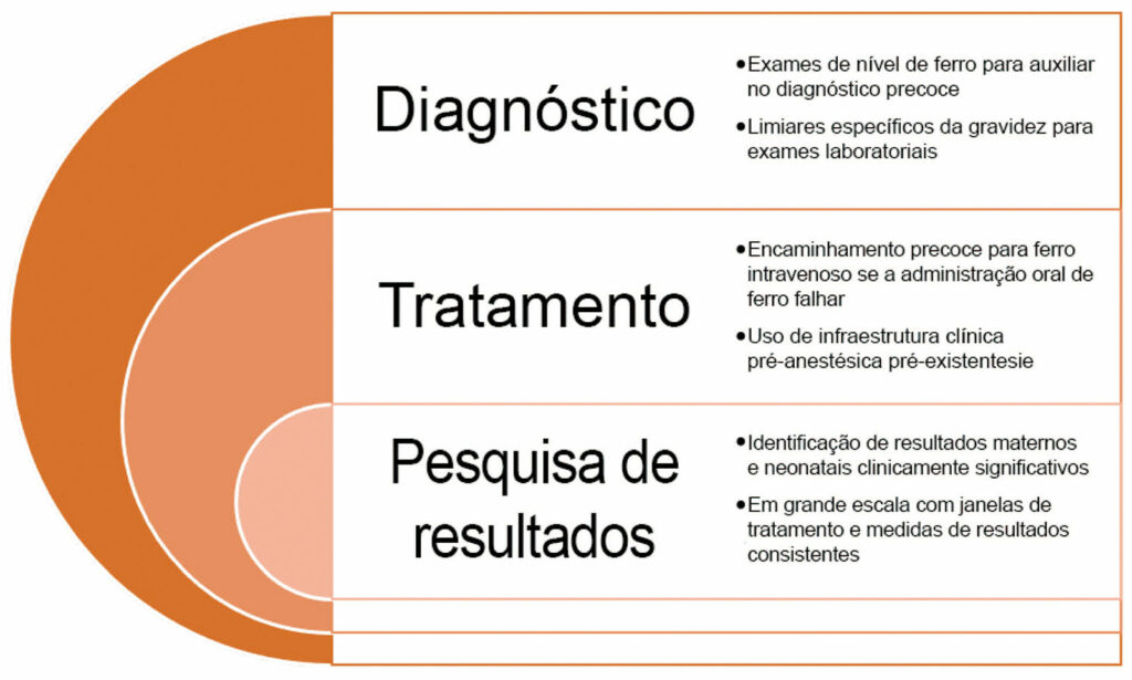 Figura 1: Oportunidades de melhoria no diagnóstico, tratamento e estudo da anemia ferropriva materna.