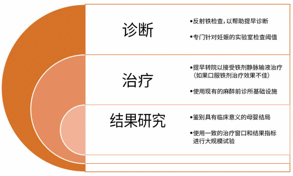 图 1：改进孕产妇缺铁性贫血诊断、治疗和研究的机会。