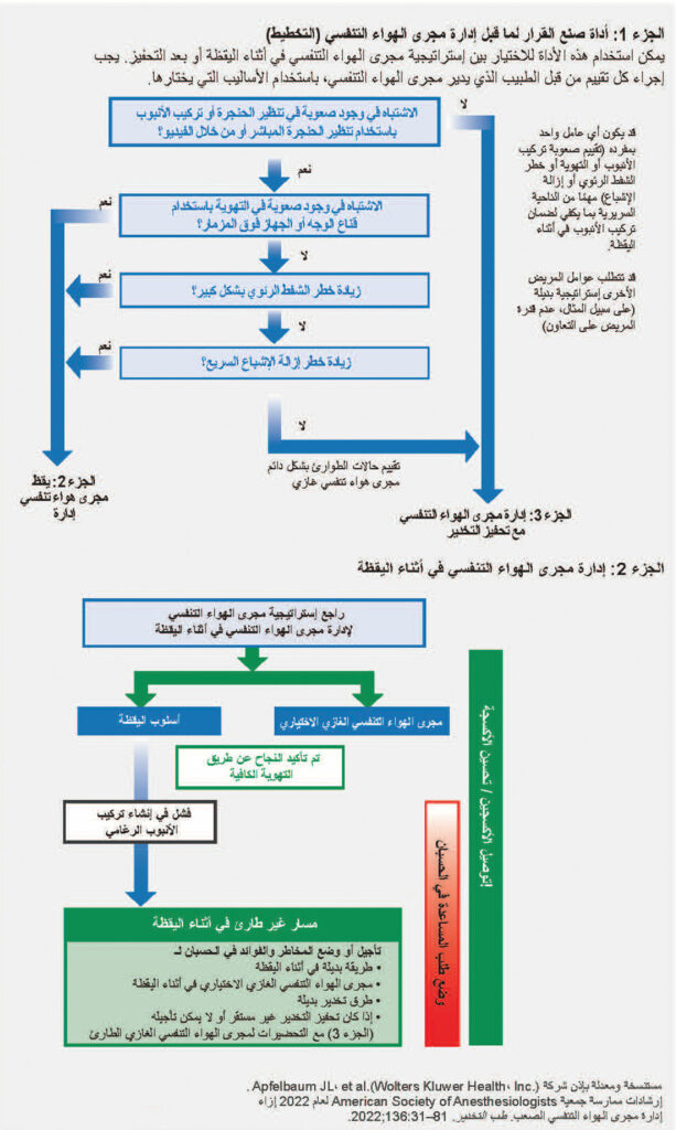 الشكل 1، الجزأين 1 و2: رسم توضيحي لمجرى الهواء التنفسي الصعب للمرضى البالغين.