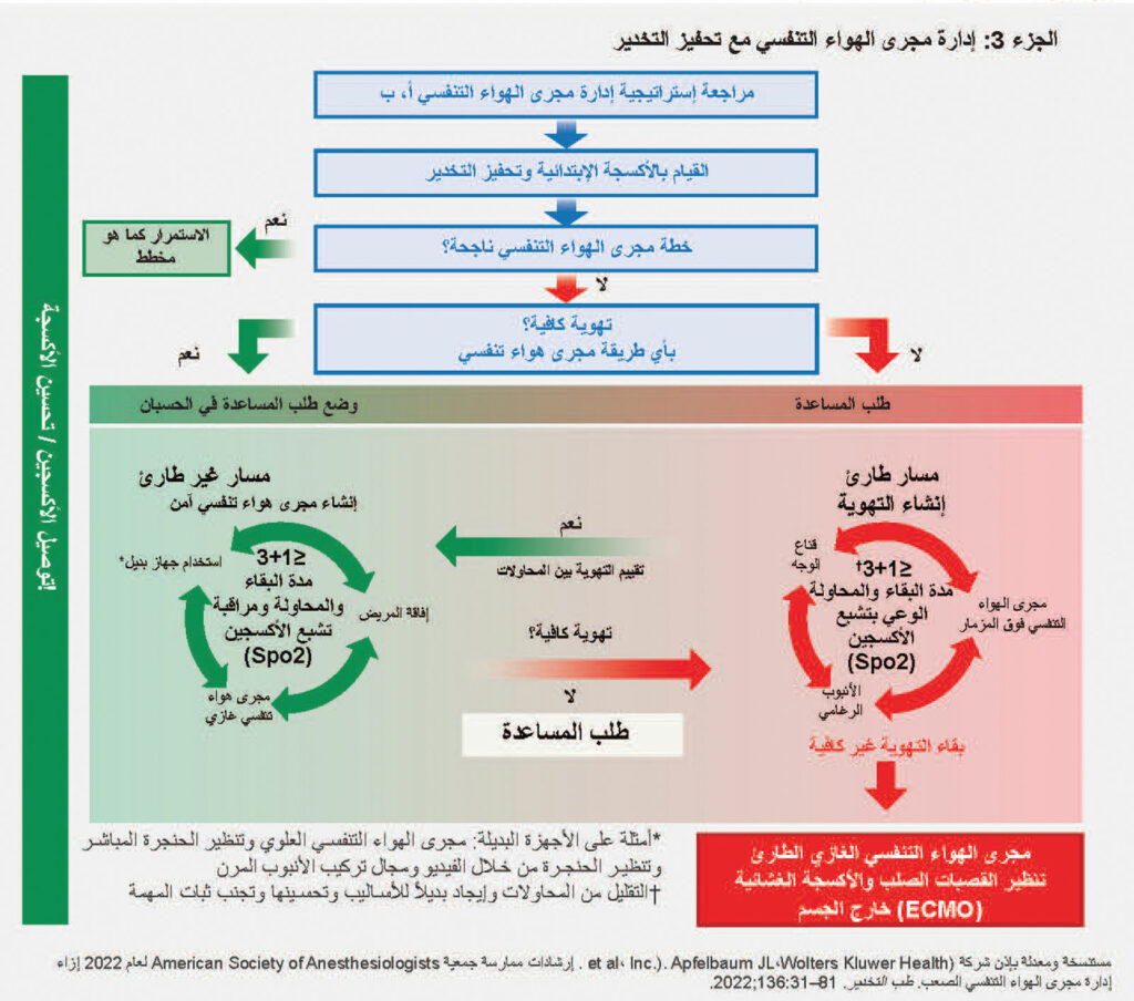 الشكل 1، الجزء 3: رسم توضيحي لمجرى الهواء التنفسي الصعب للمرضى البالغين.