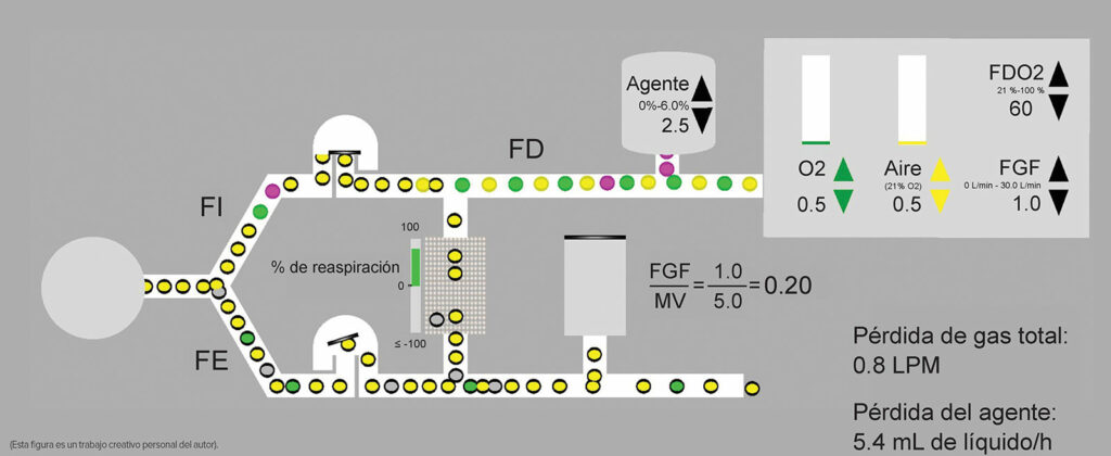 Figura 1: Esquema idealizado de un sistema cíclico donde FGF es una fracción del minuto de ventilación a 1 L/min - 0.5 L/min y O2 respectivamente. Aire = círculos amarillos, oxígeno = círculos verdes y agente = círculos morados. Círculos con bordes negros = gases exhalados o anestésicos, algunos de los cuales vuelven a la extremidad inspirada. Tenga en cuenta que la recirculación de gases exhalados, la concentración de oxígeno y la anestesia colocada en el flujo de gas fresco (FDO2 60 % y FDA 2.5 %) será distinta a la de las concentraciones inspiradas (FIO2 y FIA) debido a la combinación de gases frescos y gases exhalados (FEO2 y FEA). Las diferencias de concentración exactas dependerán de la fase del procedimiento y la diferencia disminuirá con el tiempo. FD = fracción entregada; FI = fracción inspirada; FE = fracción espirada; FGF = flujo de gas fresco; MV = minuto de ventilación.