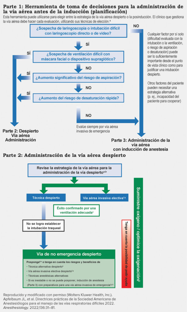 Figura 1, partes 1 y 2: Infografía sobre las vías respiratorias complejas para pacientes adultos.