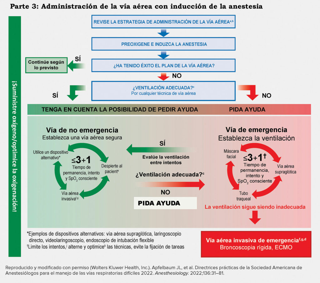 Figura 1, parte 3: Infografía sobre las vías respiratorias complejas para pacientes adultos.