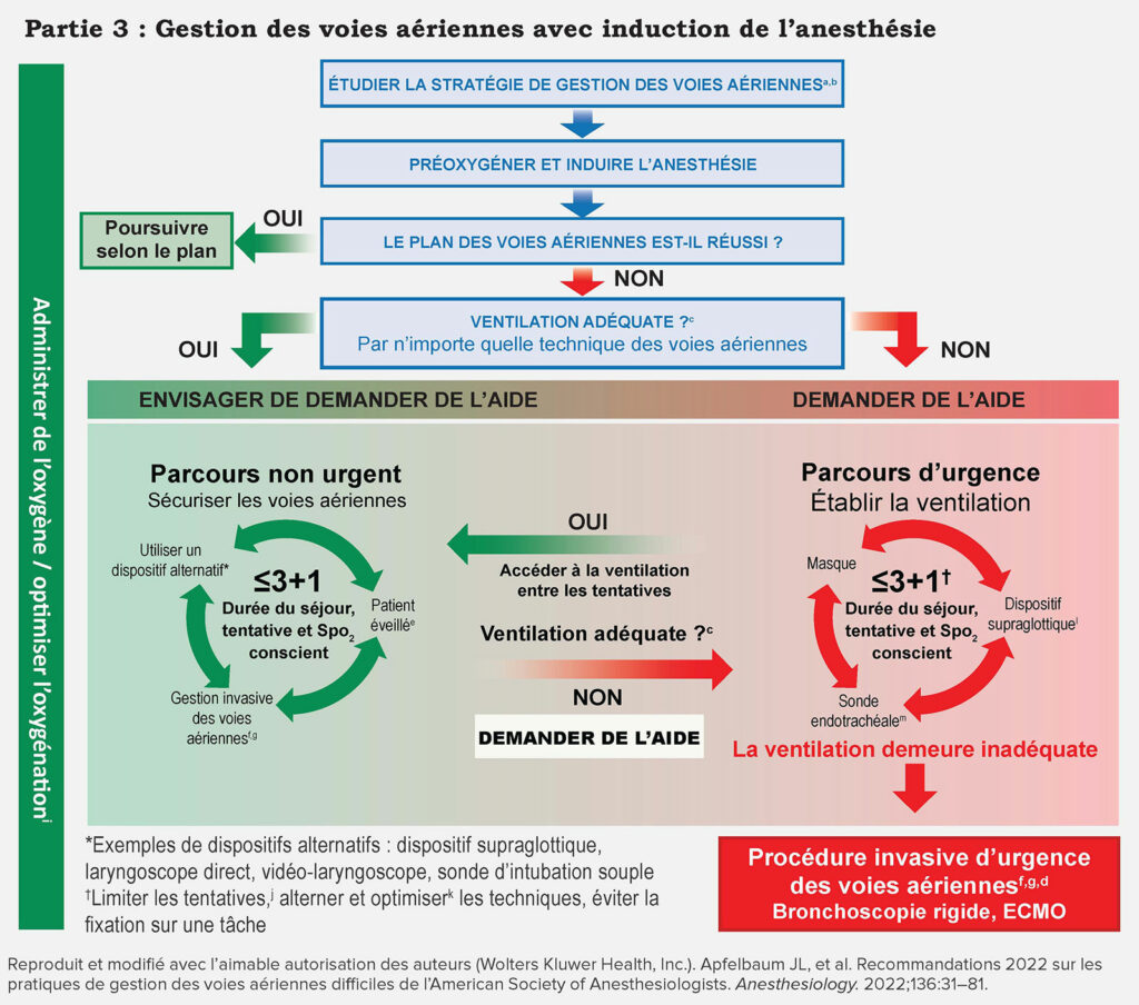 Figure 1, partie 3 : Infographie des voies aériennes difficiles pour les patients adultes.