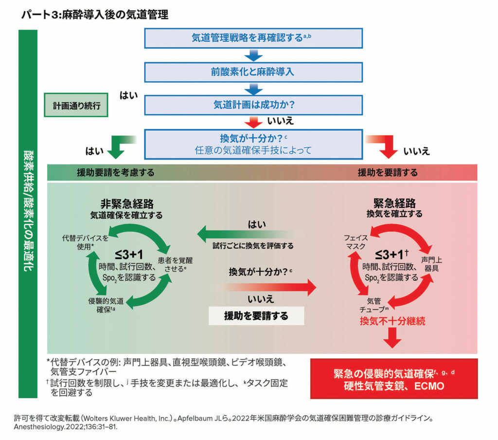 図 1：パート３：成人患者の気道確保困難インフォグラフィック。