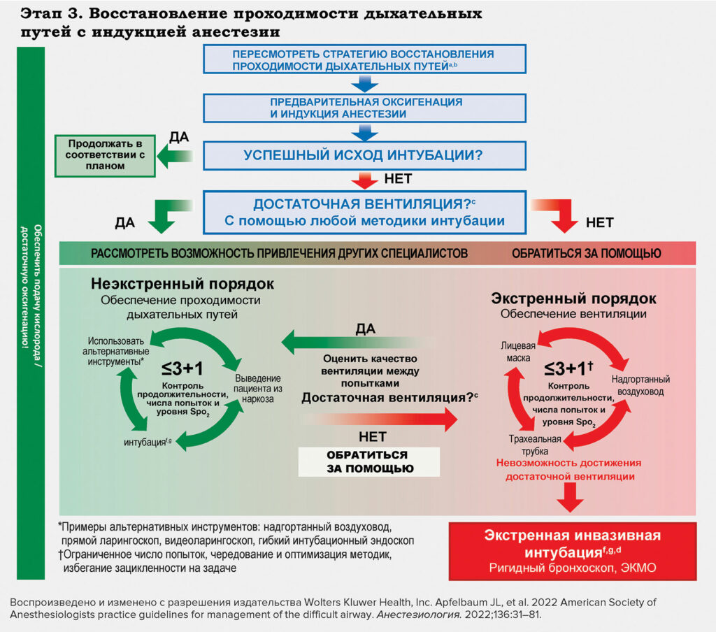 Рисунок 1, часть 3. Инфографика нарушения проходимости дыхательных путей у взрослых пациентов.