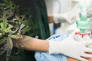 Cannabis and Anesthesia