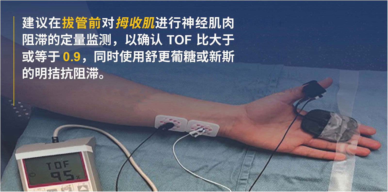 新版神经肌肉阻滞临床实践指南- Anesthesia Patient Safety Foundation
