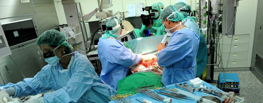 Liver Transplantation