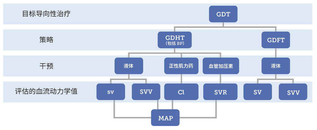 图 1.GDT 策略组成部分描述（该策略是 GDHT 和 GDFT 策略的概念性融合，同时考虑了指导特定靶向干预的血流动力学值）。<br />GDT：目标导向性治疗；GDHT：目标导向性血流动力学治疗；GDFT：目标导向性液体治疗；SV：每搏量；<br />
SVV：每搏量变异度；CI：心脏指数；SVR：全身血管阻力；MAP：平均动脉压