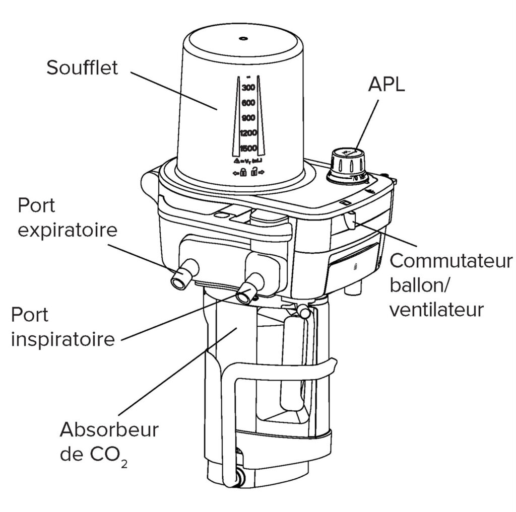 Figure 1 : Système respiratoire compact.<sup>1</sup>