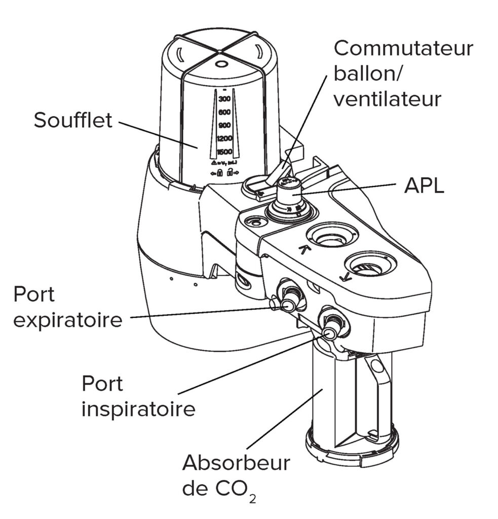 Figure 2 : Système respiratoire avancé.<sup>2</sup>