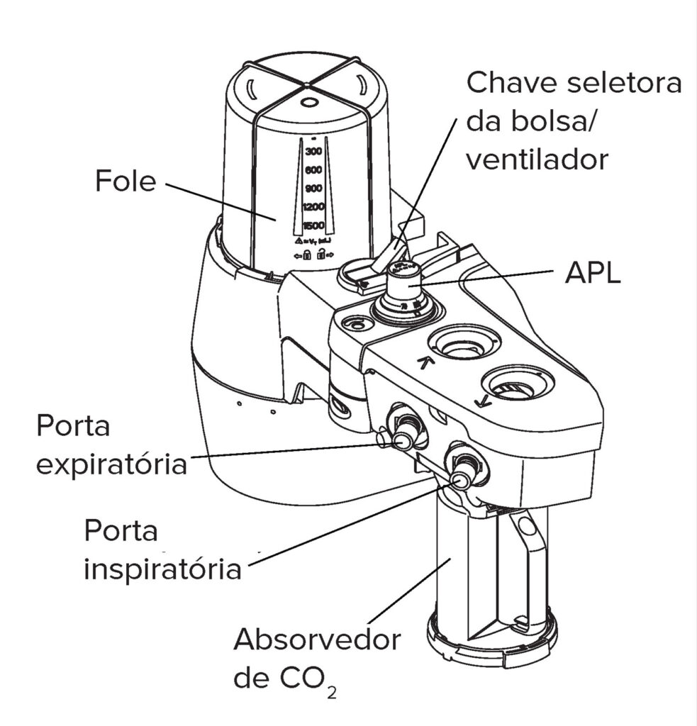 Figura 2: Sistema respiratório avançado.<sup>2</sup>