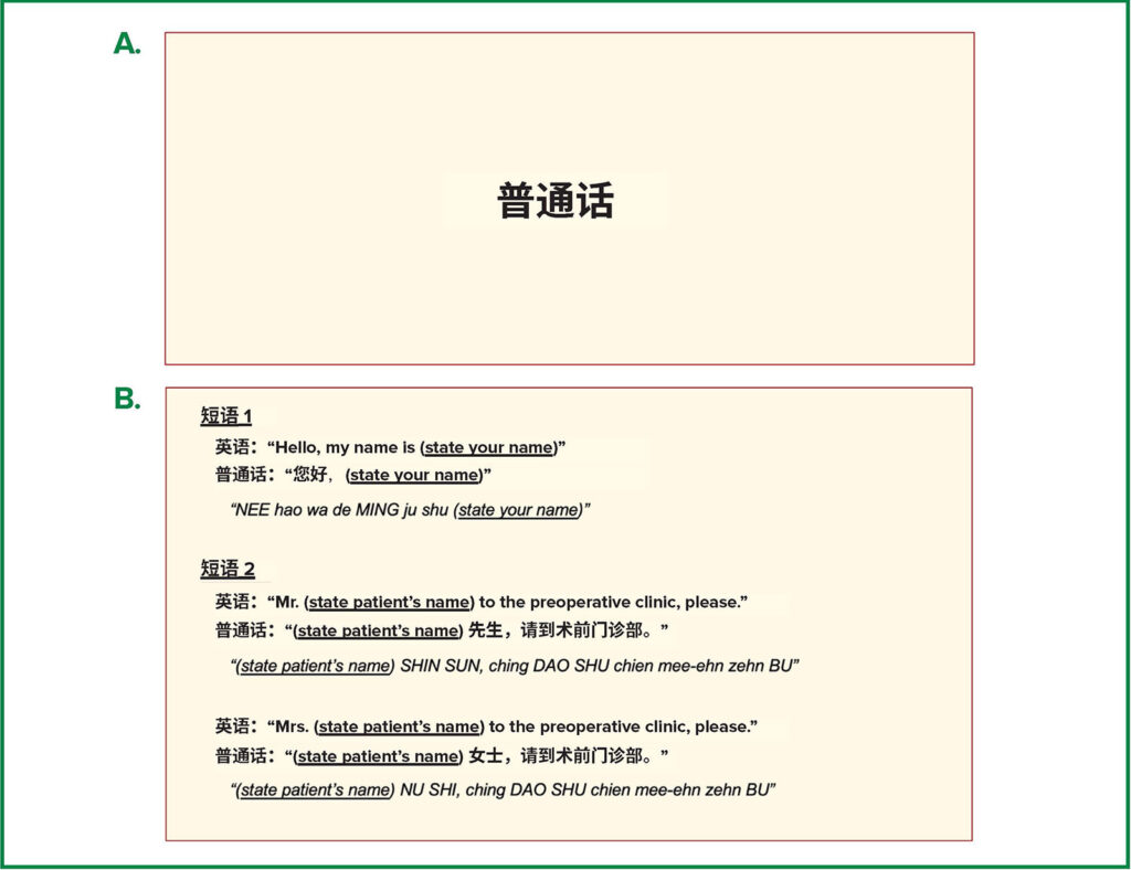 图 3：每名 LEP 患者病历中卡片的前视图 (a) 和后视图 (b)。经作者许可使用。
