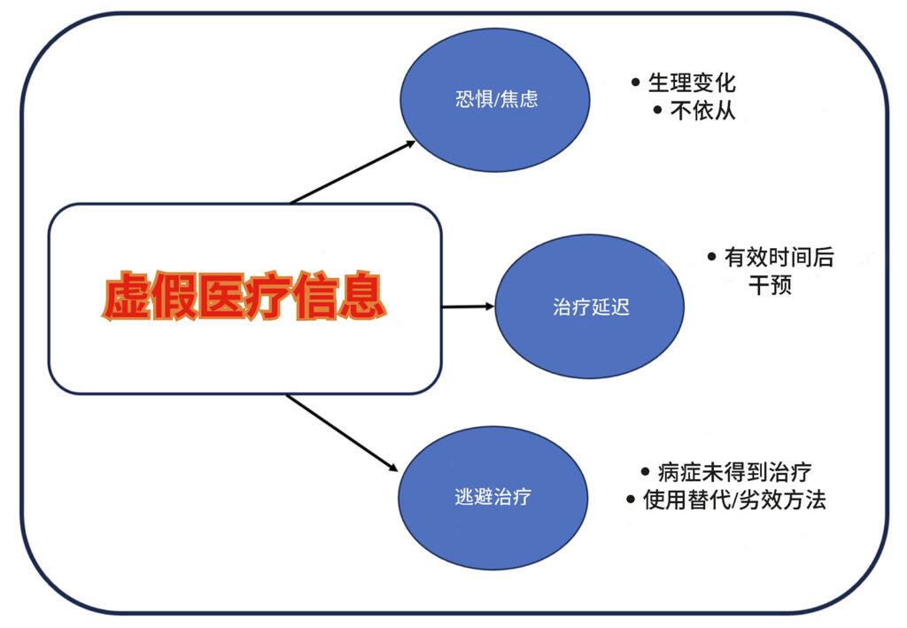 图 1：麻醉学虚假医疗信息的潜在后果。