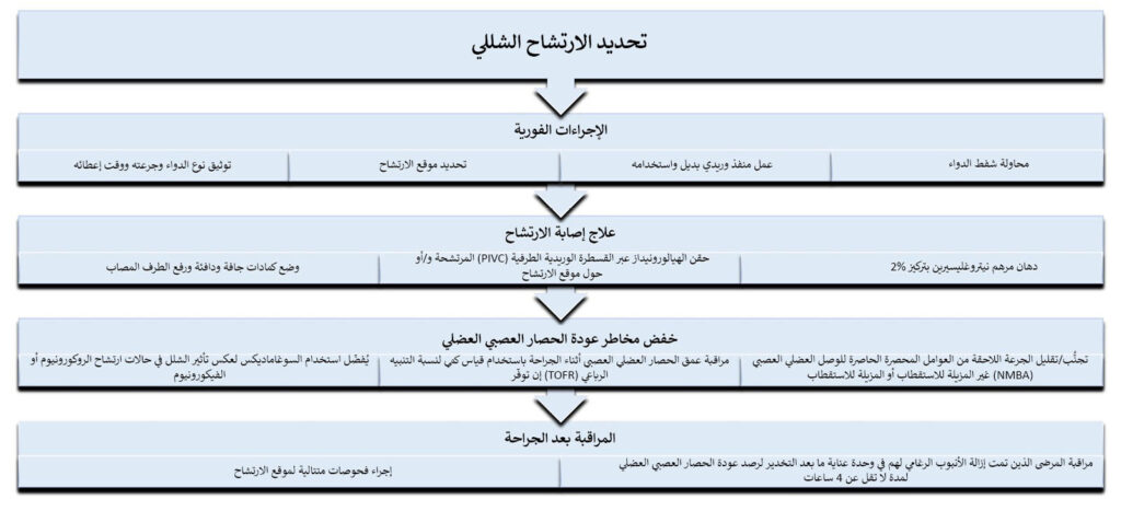الشكل 1: خوارزمية اقترحها المؤلفون لإدارة ارتشاح العامل الحاصر للوصل العصبي العضلي.<br />عامل حاصر للوصل العصبي العضلي (NMBA)، حصار عصبي عضلي (NMB)، وحدة عناية ما بعد التخدير (PACU)، نسبة تنبيه رباعي (TOFR).