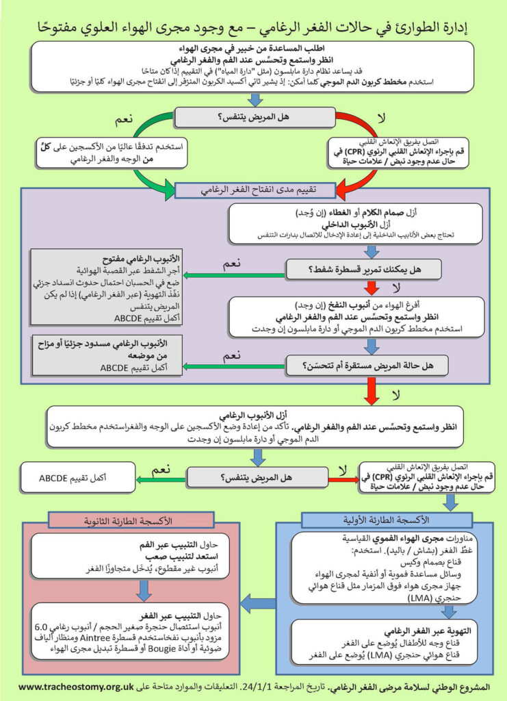 الشكل 3: خوارزمية إدارة الطوارئ في حالات الفغر الرغامي. تم الحصول على إذن بالاستخدام من Brendan McGrath والمشروع الوطني لسلامة مرضى الفغر الرغامي.