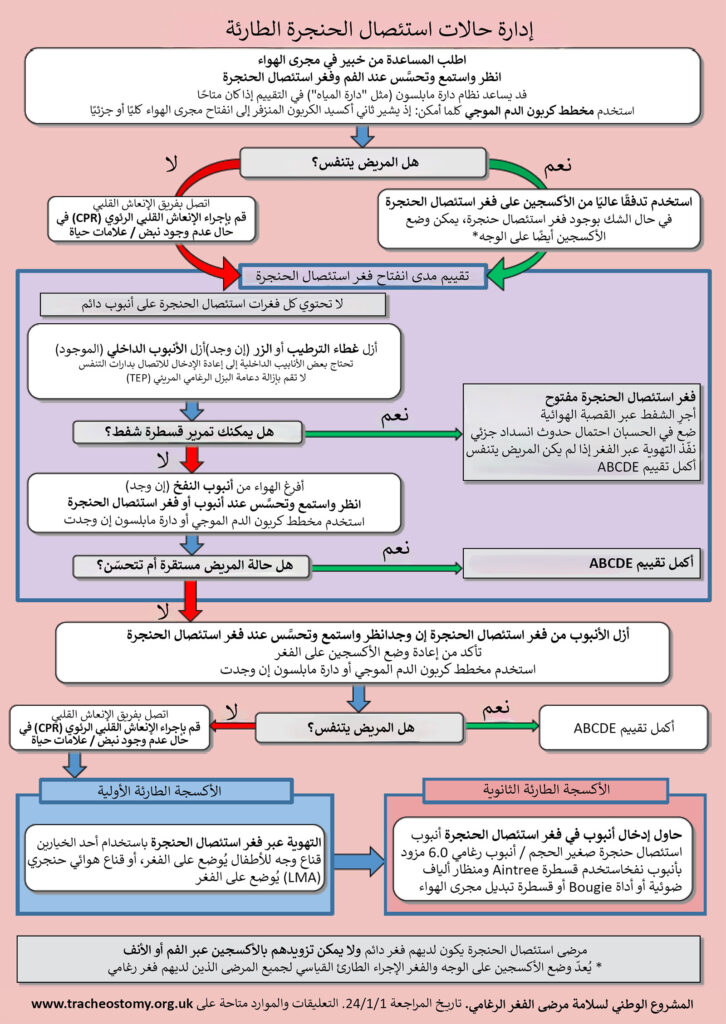 الشكل 6: خوارزمية إدارة عملية استئصال الحنجرة. تم الحصول على إذن بالاستخدام من Brendan McGrath والمشروع الوطني لسلامة مرضى الفغر الرغامي.