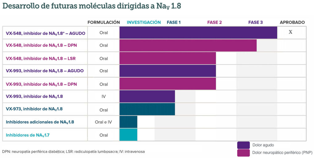 Figura 2: Desarrollo de futuras moléculas dirigidas a Nav1.8. Uso autorizado por Vertex Pharmaceuticals.