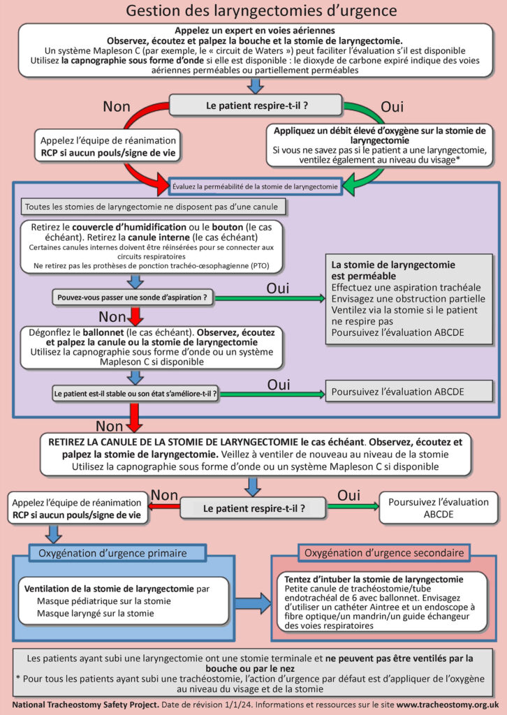 Figure 6 : Algorithme de gestion des laryngectomies. Avec l’autorisation de Brendan McGrath et du National Tracheostomy Safety Project.