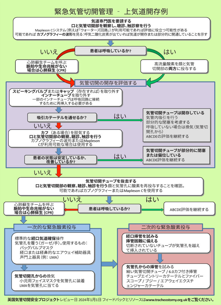 図3:緊急気管切開管理アルゴリズム。Brendan McGrathおよびNational Tracheostomy Safety Projectの許可を得て使用。