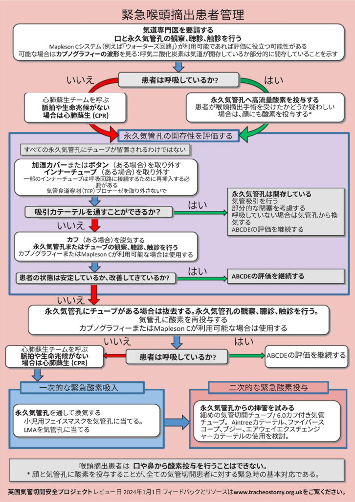 図6:喉頭摘出管理アルゴリズム。Brendan McGrathおよびNational Tracheostomy Safety Projectの許可を得て使用。