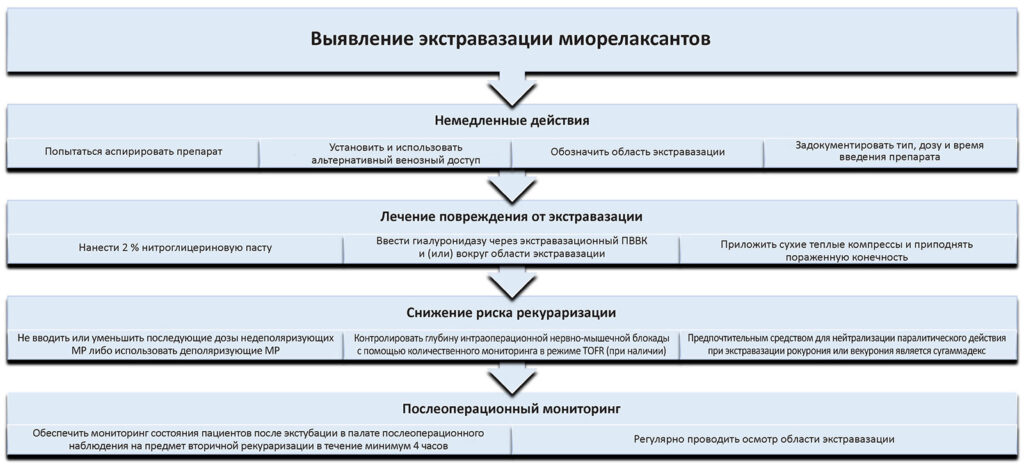 Рис. 1. Предложенный авторами алгоритм ведения пациентов с экстравазацией паралитических средств.<br />НМБ — нервно-мышечный блокатор; ППН — палата послеоперационного наблюдения; TOFR — отношение при четырехразрядной стимуляции.