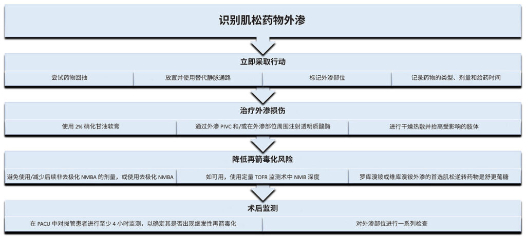 图 1：作者提出的管理肌松药物外渗的流程。<br />神经肌肉阻滞剂 (NMBA)；神经肌肉阻滞 (NMB)；麻醉恢复室 (PACU)；四个成串刺激比 (TOFR)。